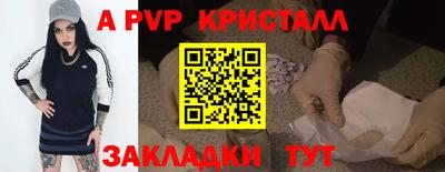 стафф Будённовск